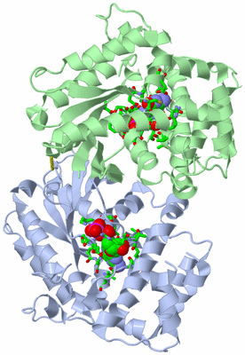 Image Asym./Biol. Unit - sites