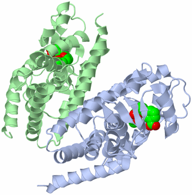 Image Biological Unit 1