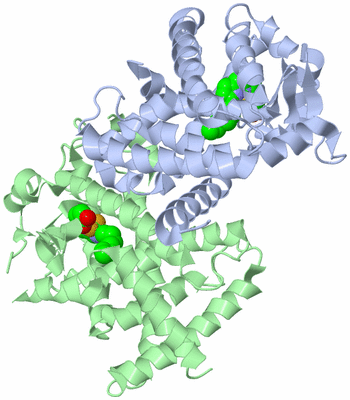 Image Biological Unit 2