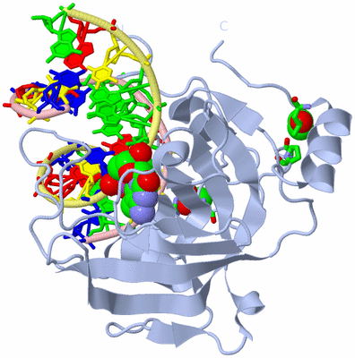 Image Biol. Unit 1 - sites