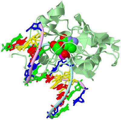 Image Biological Unit 2