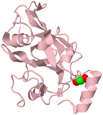 Image Biological Unit 3