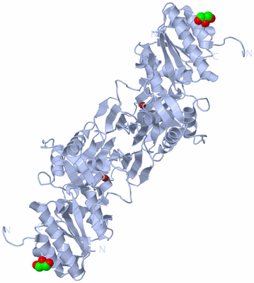 Image Biological Unit 1