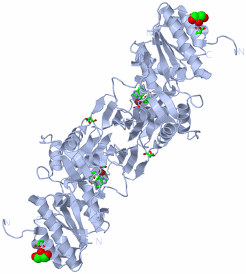 Image Biol. Unit 1 - sites