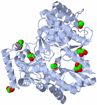 Image Biological Unit 1