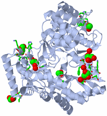 Image Biol. Unit 1 - sites