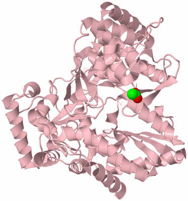 Image Biological Unit 3