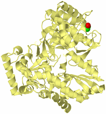 Image Biological Unit 4