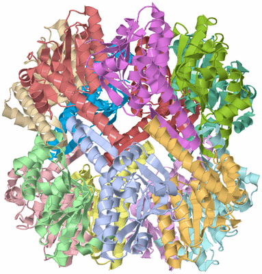 Image Asym./Biol. Unit