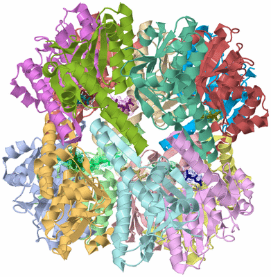 Image Asym./Biol. Unit