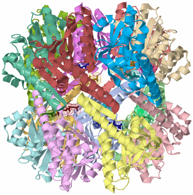 Image Asym./Biol. Unit