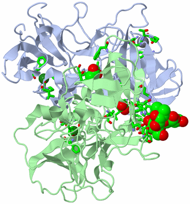 Image Asym./Biol. Unit - sites