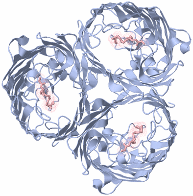 Image Biological Unit 1