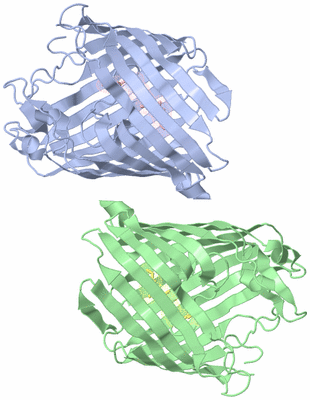Image Biological Unit 3