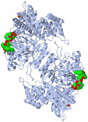 Image Biological Unit 1