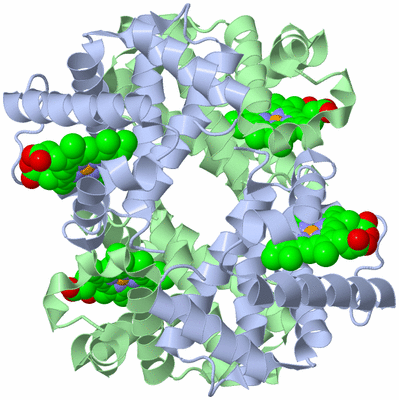 Image Biological Unit 1