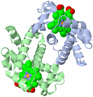 Image Biological Unit 2