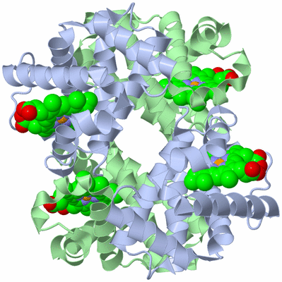 Image Biological Unit 1