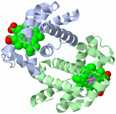 Image Biological Unit 2