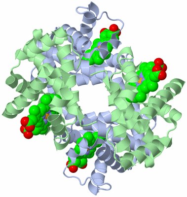 Image Biological Unit 1