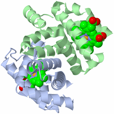 Image Biological Unit 2