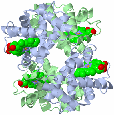 Image Biological Unit 1