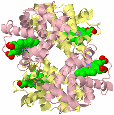 Image Biological Unit 2