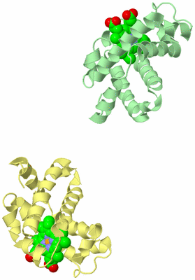 Image Biological Unit 3