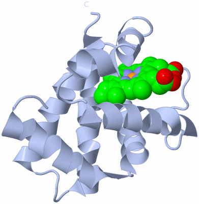 Image Biological Unit 4