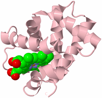 Image Biological Unit 5