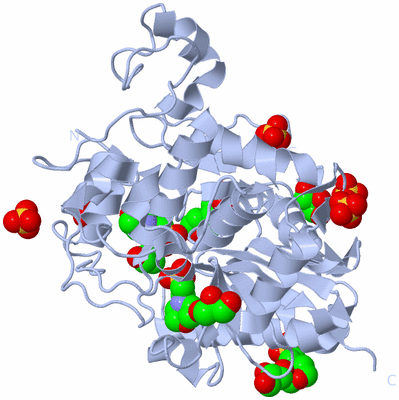 Image Biological Unit 2