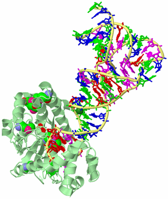 Image Biological Unit 2