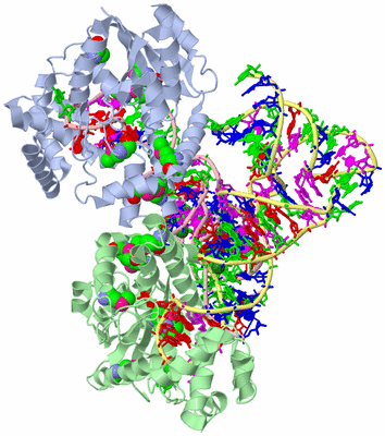 Image Biological Unit 3