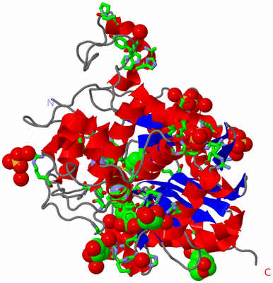 Image Asym. Unit - sites