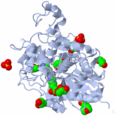 Image Biological Unit 2