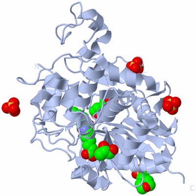 Image Biological Unit 2