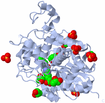 Image Biological Unit 2