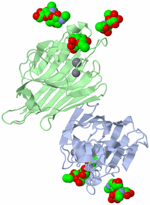 Image Biological Unit 1