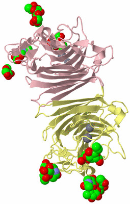 Image Biological Unit 2