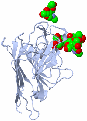 Image Biological Unit 3