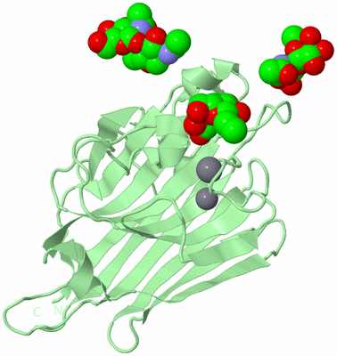 Image Biological Unit 4