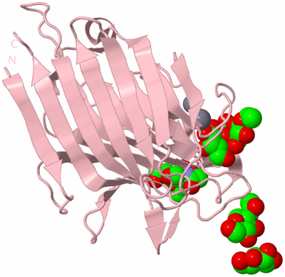 Image Biological Unit 5