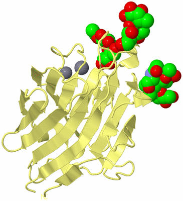 Image Biological Unit 6