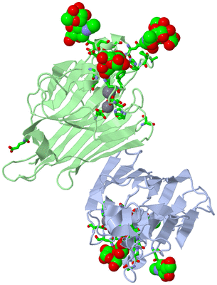 Image Biol. Unit 1 - sites