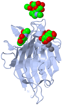 Image Biological Unit 3