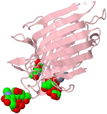 Image Biological Unit 5