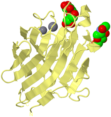 Image Biological Unit 6