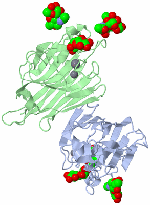 Image Biological Unit 1