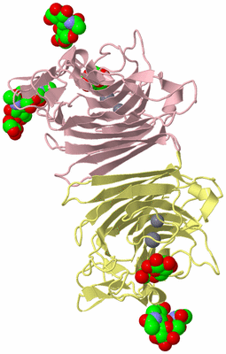 Image Biological Unit 2