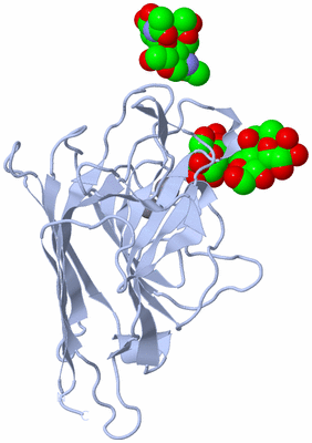 Image Biological Unit 3